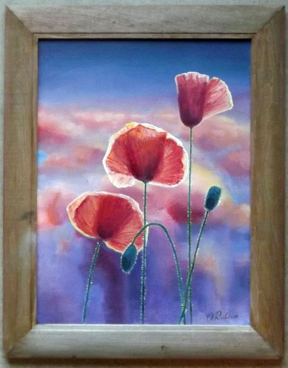 Poppies (Framed)