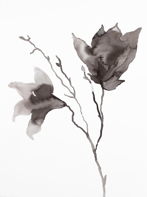 Magnolia No. 47 by Elizabeth Becker