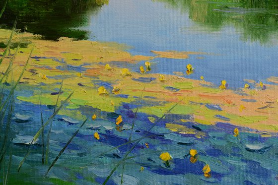 Water lilies in the shade