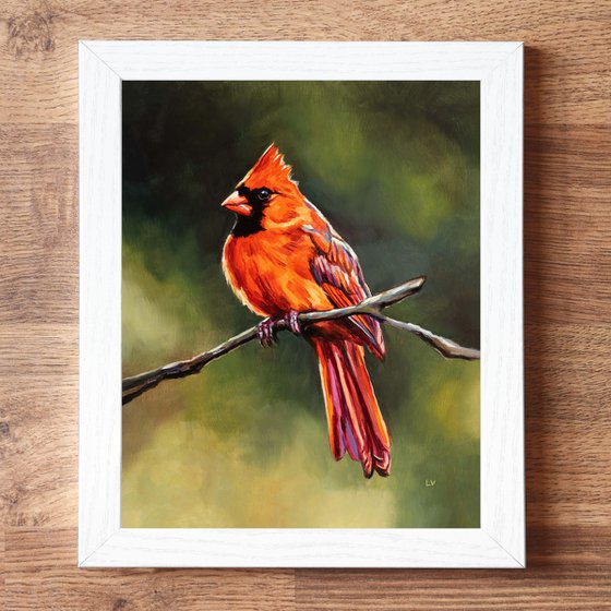 Northern cardinal bird in nature