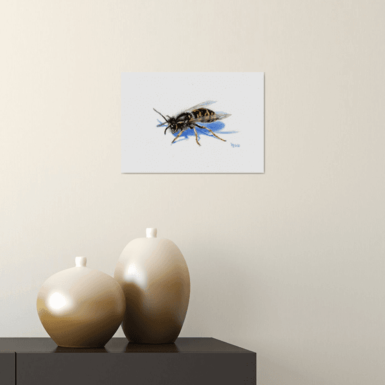 Wasp/Insect Series