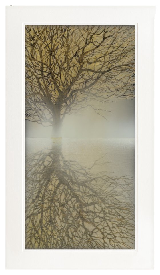 Reflections - Original & Limited Edition Prints Available