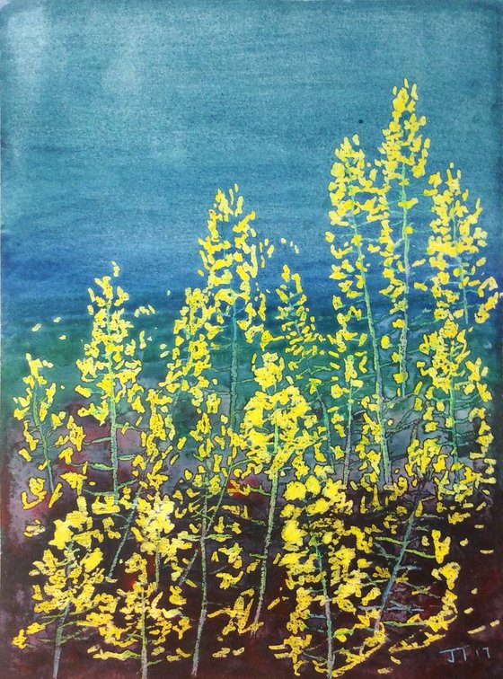 Yellow Bloom