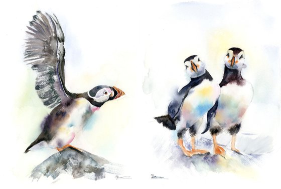 Puffin Diptych