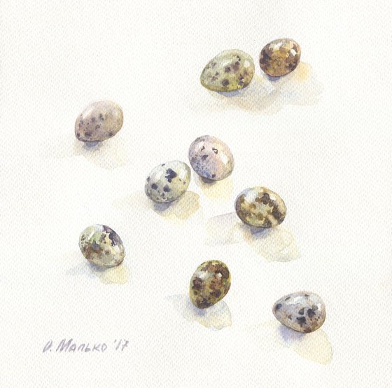 Quail eggs / Original square picture Kitchen watercolor Realistic still life