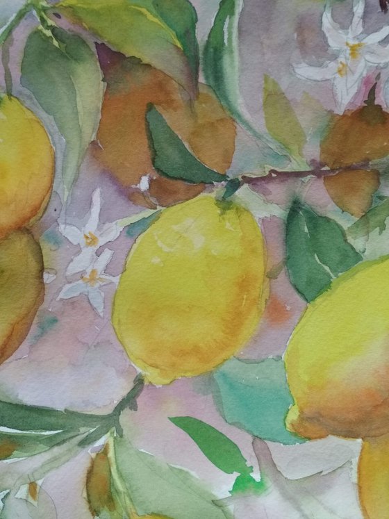 Lemon tree