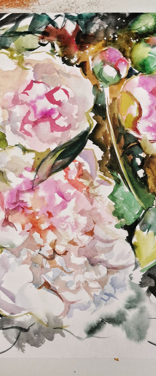 Peonies painting, Watercolor painting by Annet Loginova