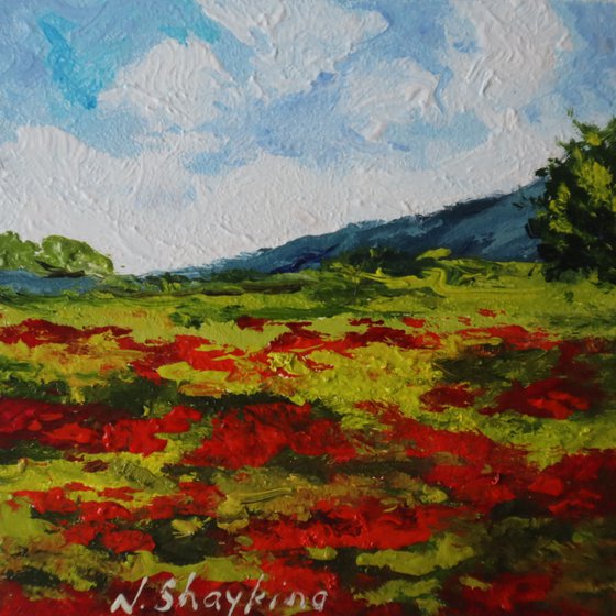 Red Poppy Field and Sky