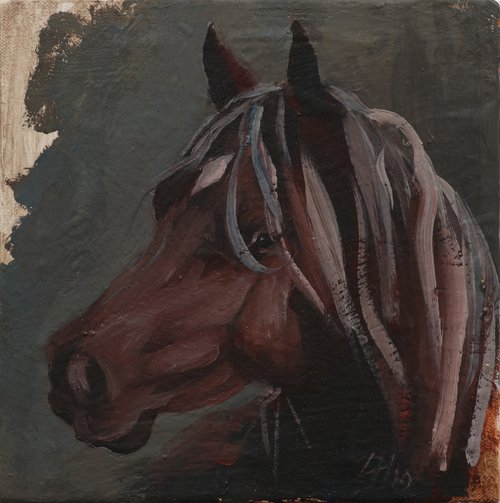 Equine Head Arab Chestnut (study 185) by Zil Hoque