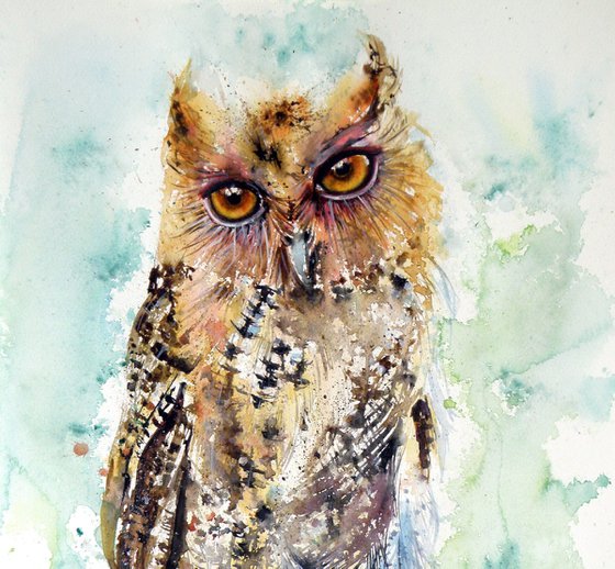Owl
