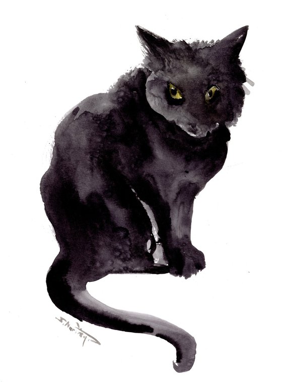 Black cat