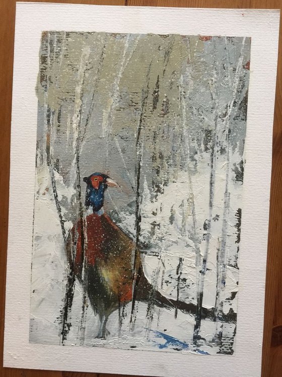 Festive Pheasant