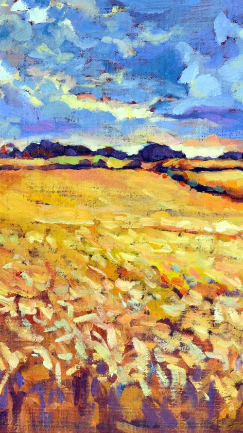 Field. by Irina Ushakova