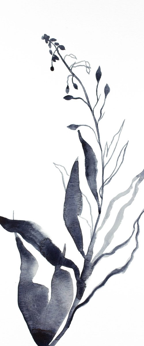 Plant Study No. 78 by Elizabeth Becker