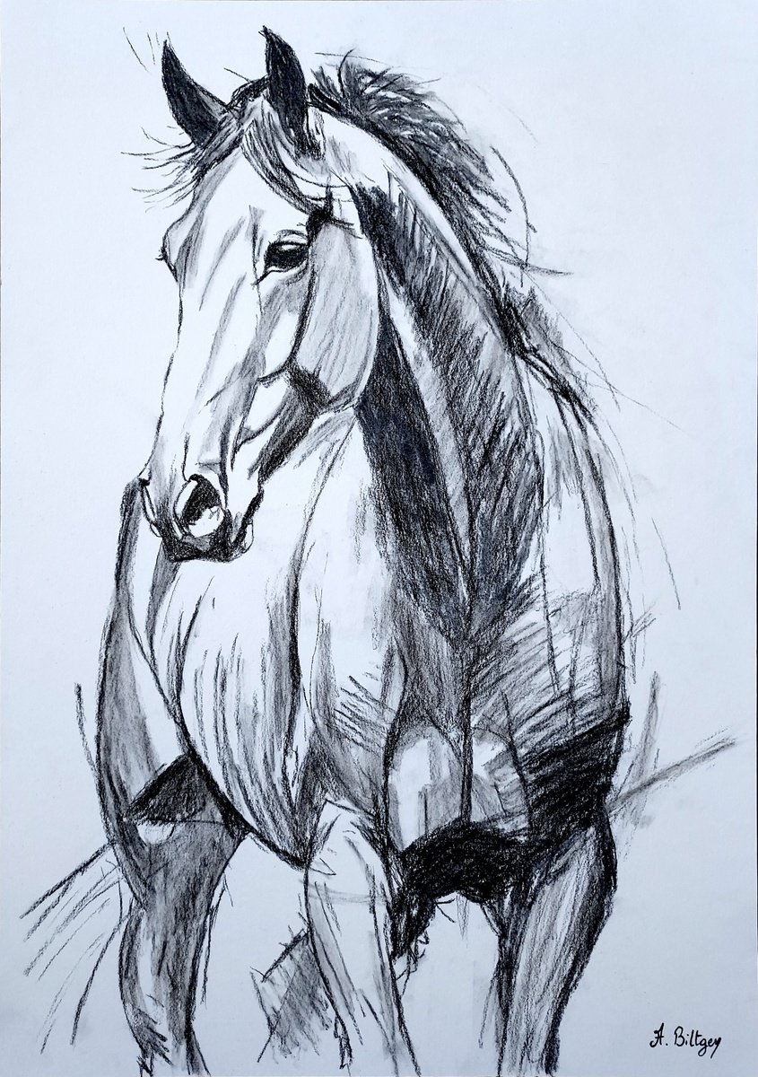 Expressive Charcoal Drawing , Avant L