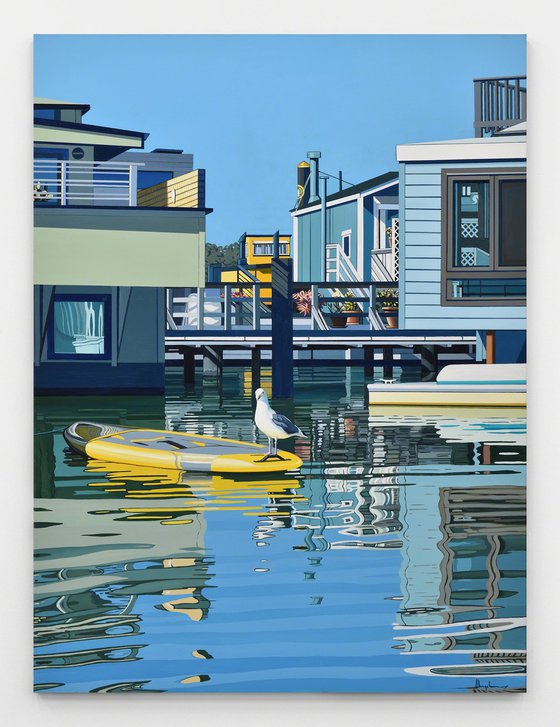 Houseboats And A Seagull