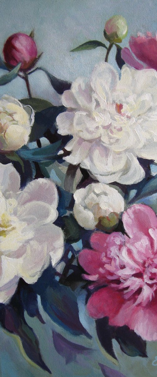 Peonies by Elena Oleniuc