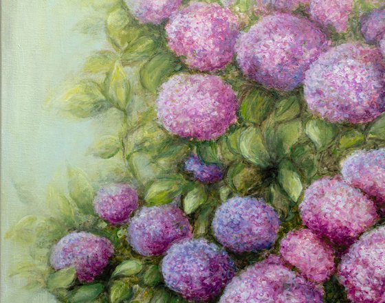 Pink Breath of Summer