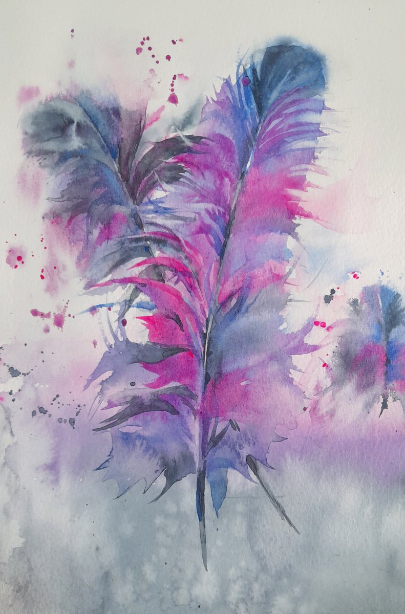 Flamboyant feathers, original watercolour painting of feathers by Anjana Cawdell