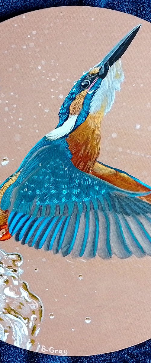Kingfisher round painting by Barry Gray