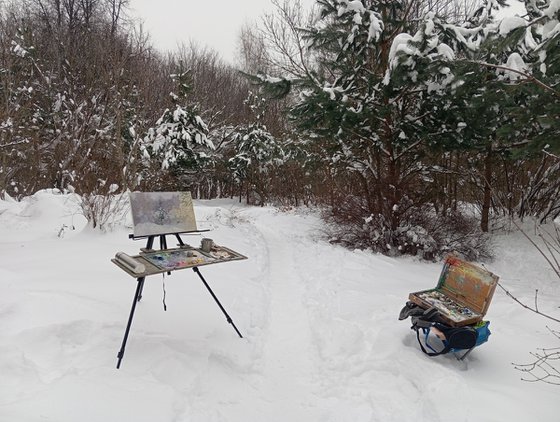 Snow-covered pine trees in Kuzminki Park