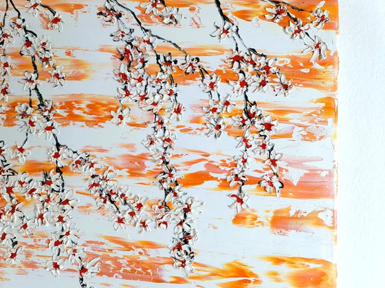 Cherries in the spring 3