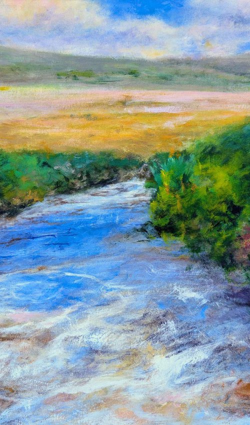Poisoned valley stream by Richard Freer