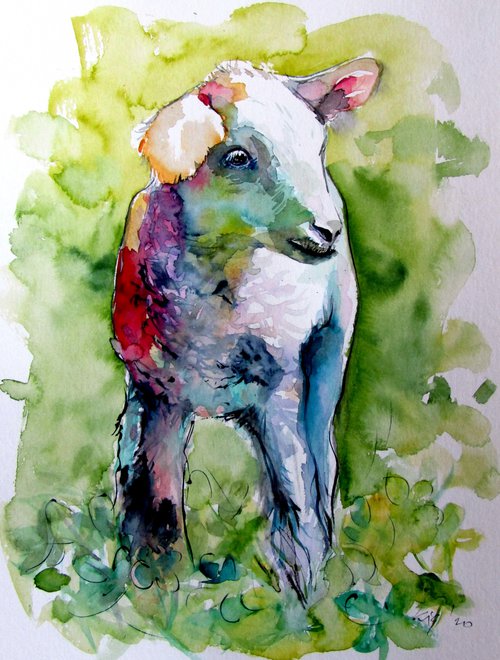 Cute lamb by Kovács Anna Brigitta