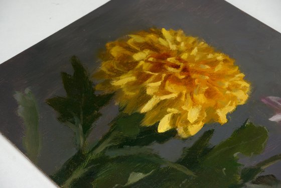 Chrysanthemums