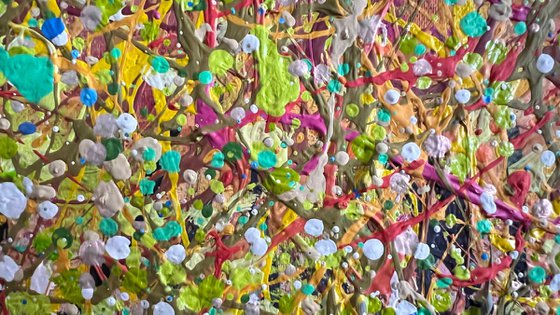 The Forest’s Gentle Song