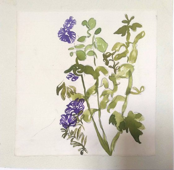 Purple floral sketch