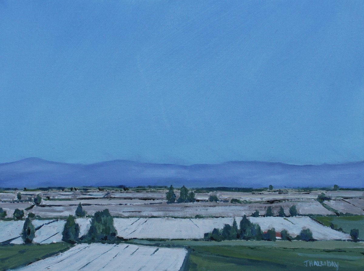 Impressionistic Landscape Oil Painting By John Halliday, 16 X 12, Cotton Fields, Miletos, Turkey, Original Artwork