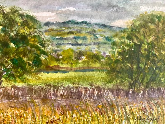Summer pastures