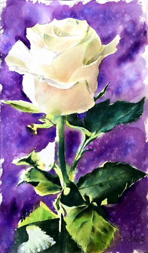 White Rose by Monika Jones