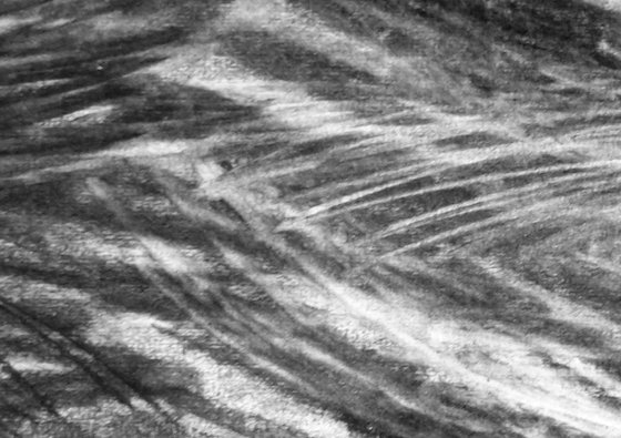 River Flow Patterns