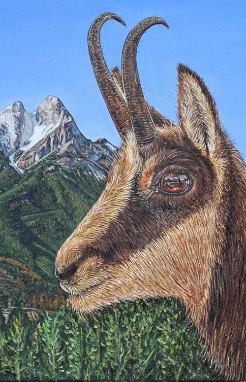 L’Isard al Pedra by Valentina Abadia Henao