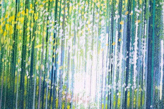 Summer Woodland Path