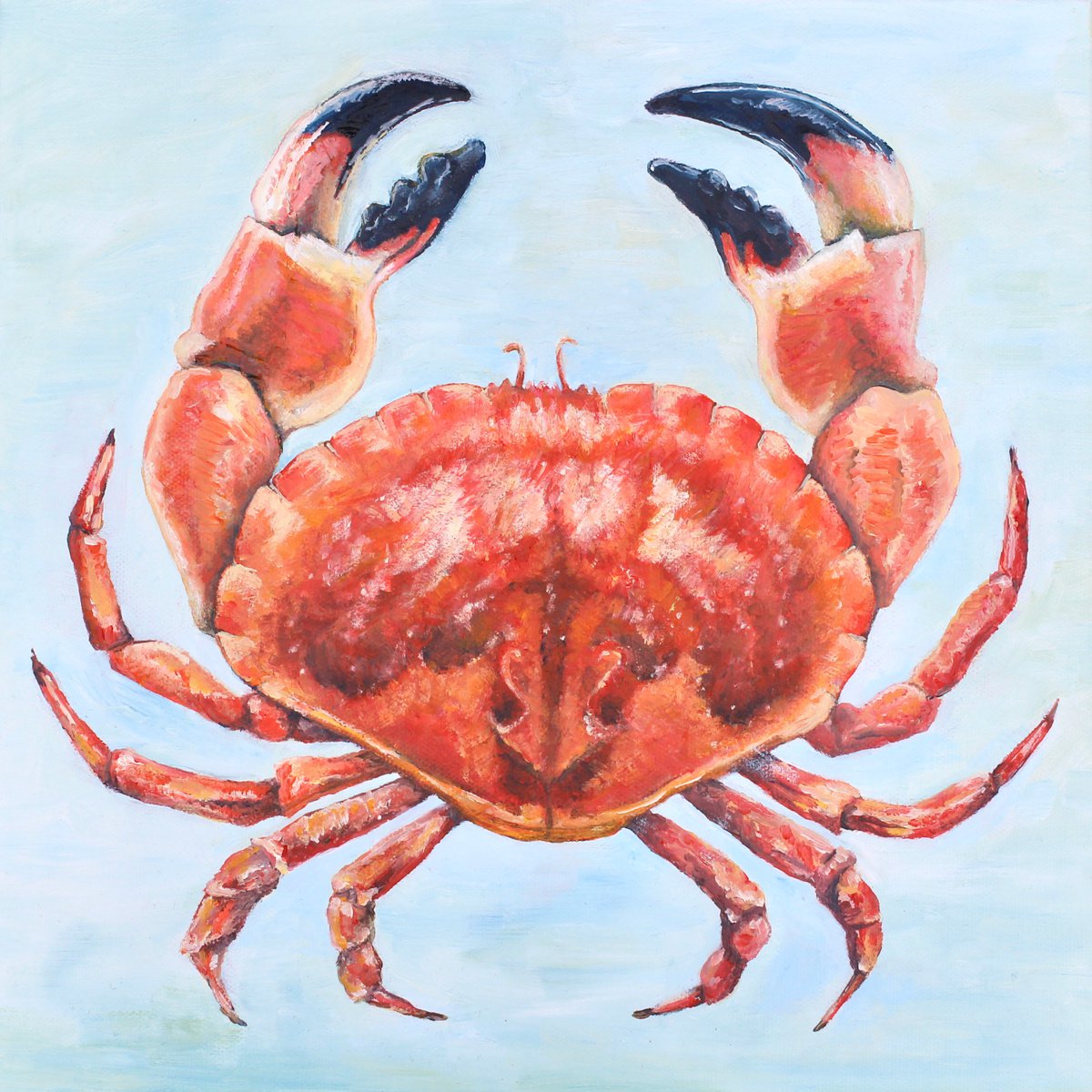 Crab by Laura Gompertz