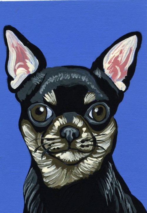 Chihuahua Pet Dog by Carla Smale