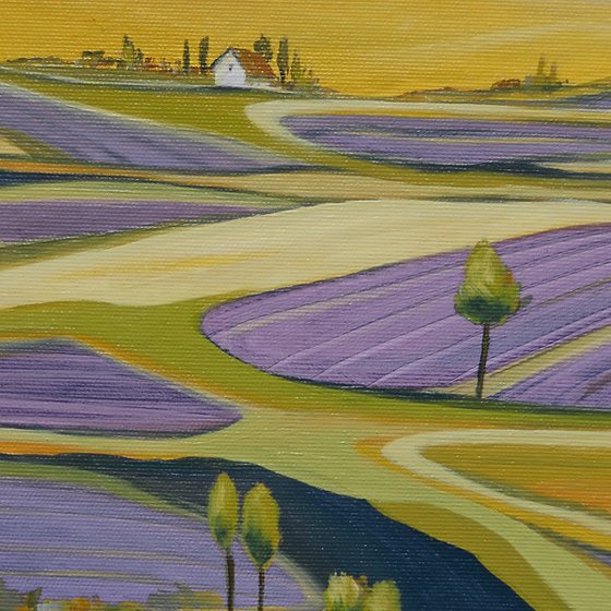 The lavender farm