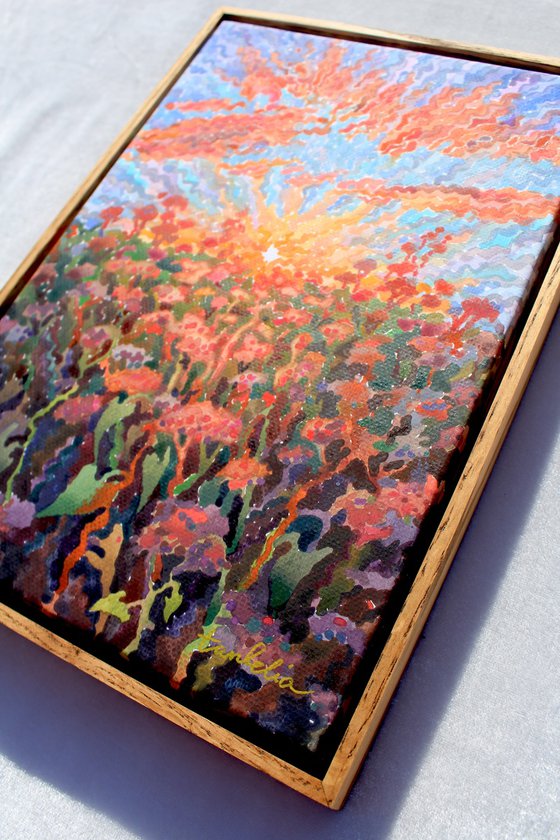 Sunset in the Buckwheat field