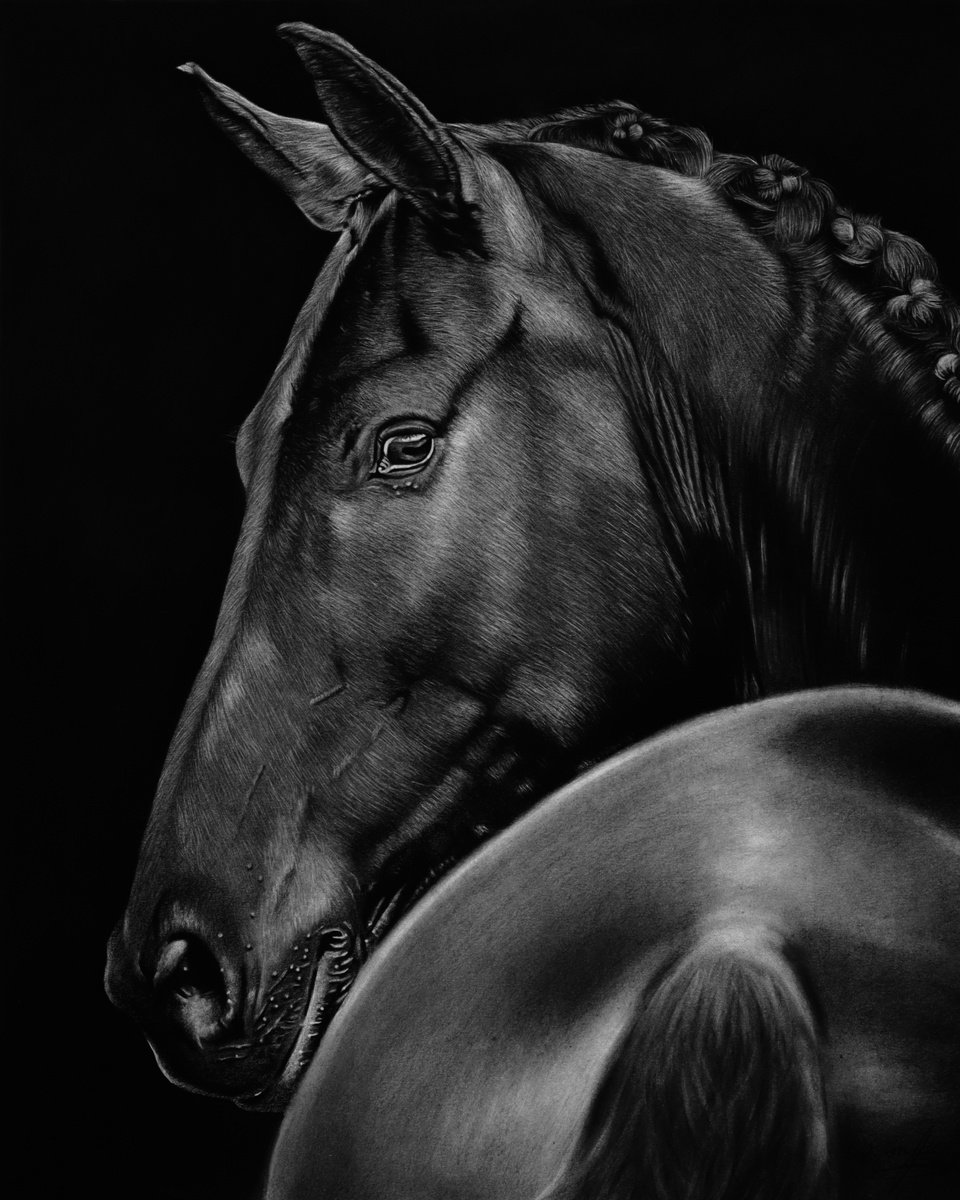 Black Horse #2 by Mariam Darchiashvili