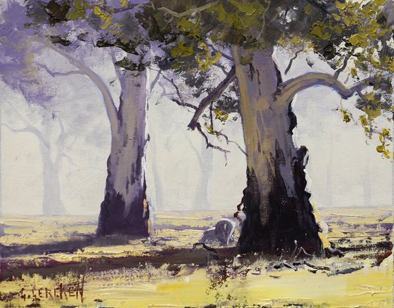 Australian Landscape with Gum trees