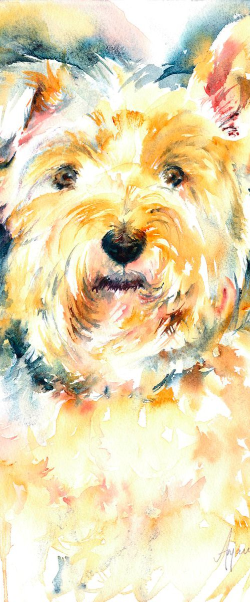 Westie by Anjana Cawdell