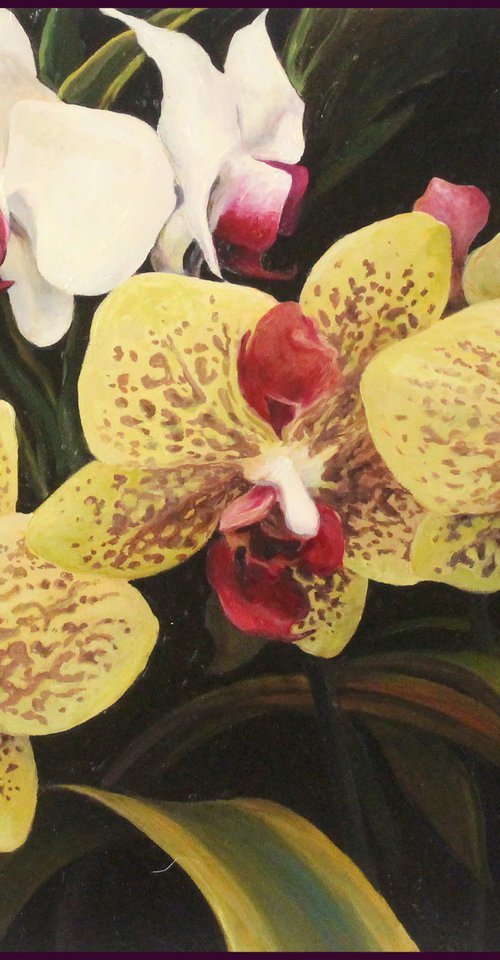 Orchids by Sandra Bryant