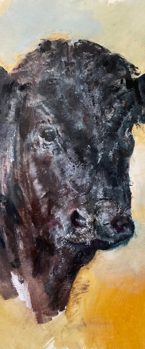 Calf by Mark Thirlwell