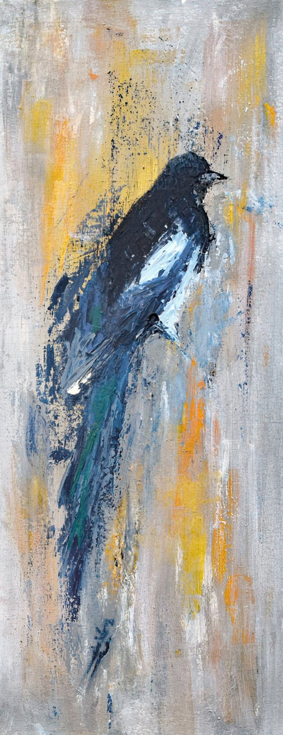 Magpie V