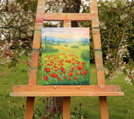 Poppy field in summer