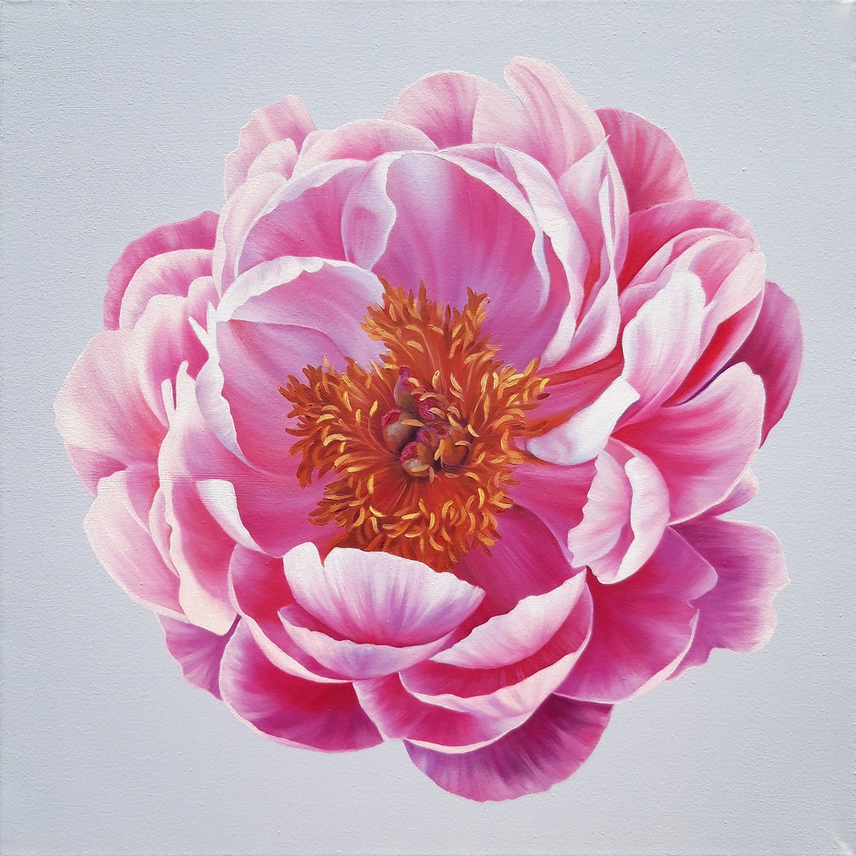Coral charm peony, oil floral painting, minimalism flowers art by Anna Steshenko