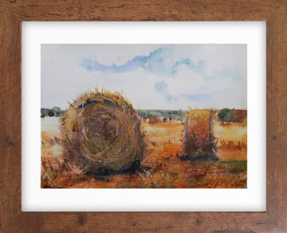 Hay bales summer